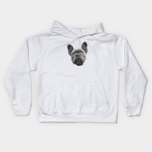 French Bulldog Blue Puppy Dog Kids Hoodie